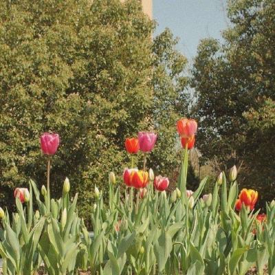 美高梅网址手机app下载