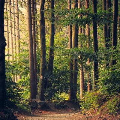 乐动体育网站官网版官方入口