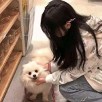 yabo手机版官网登录